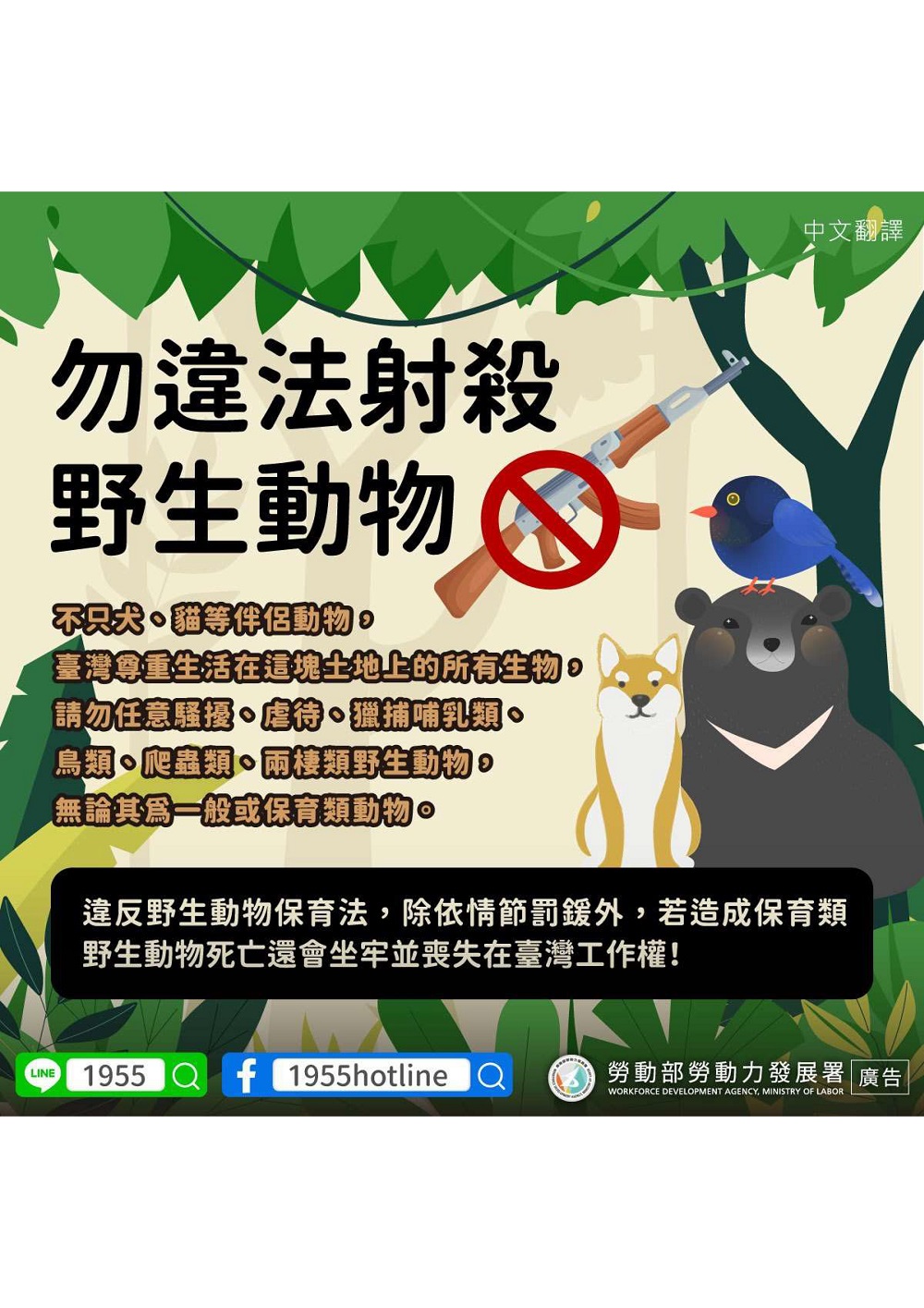 相片說明：